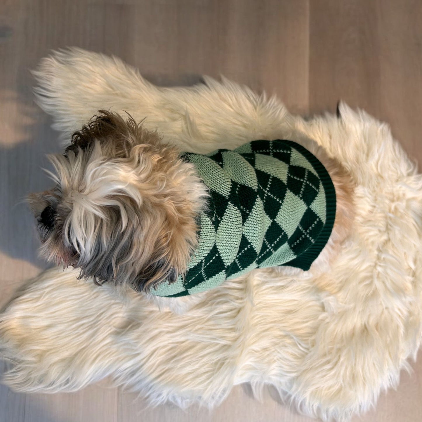 Argyle Knitwear