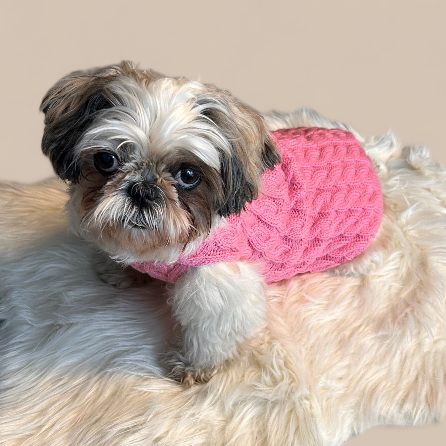 Pink Sweater