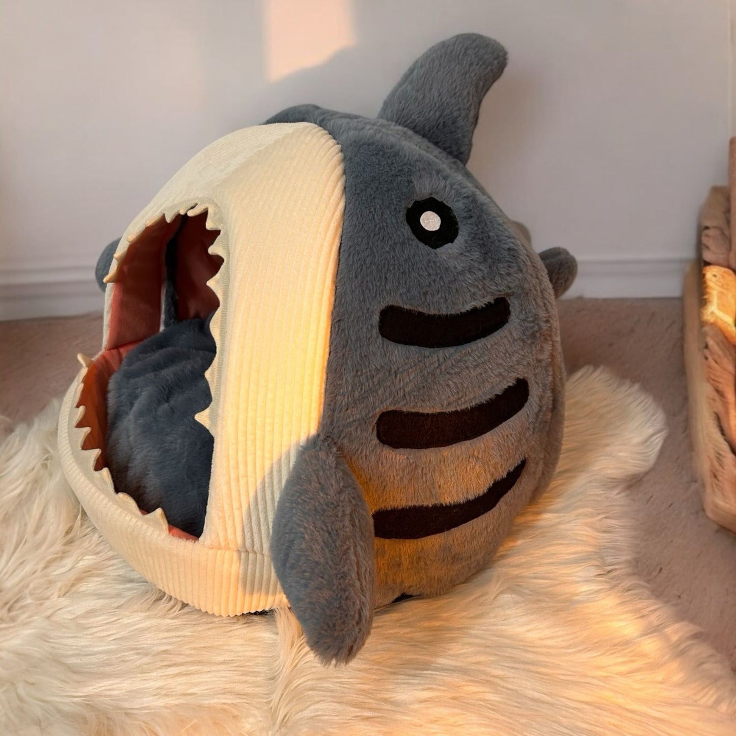 Shark Snooze