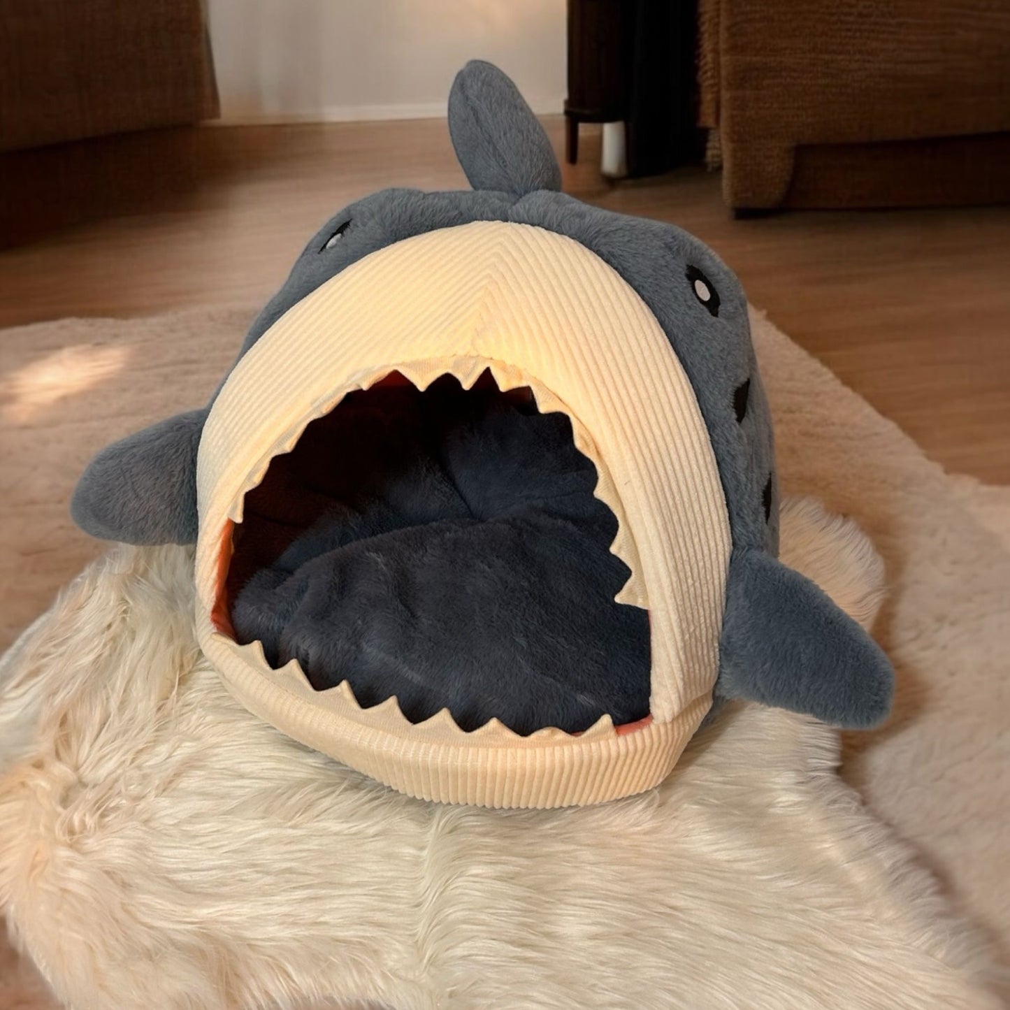 Shark Snooze