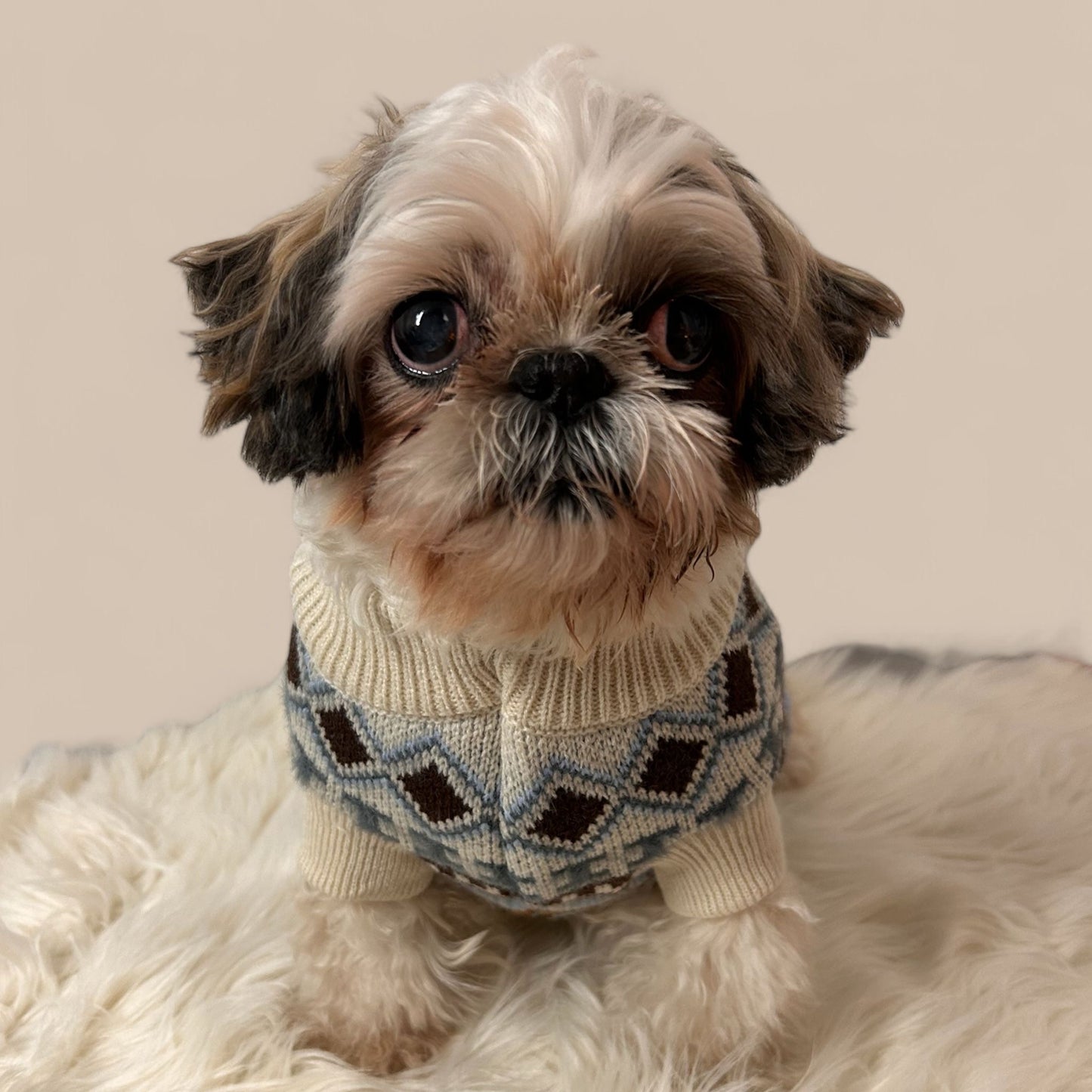 Classic Sweater