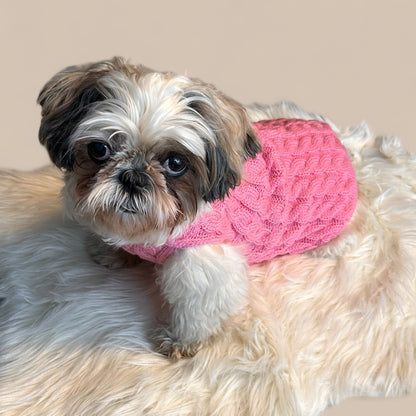 Pink Sweater