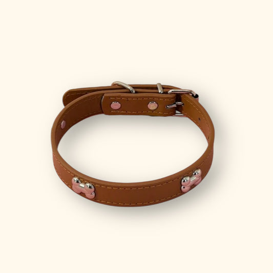 Bone Dog Collar