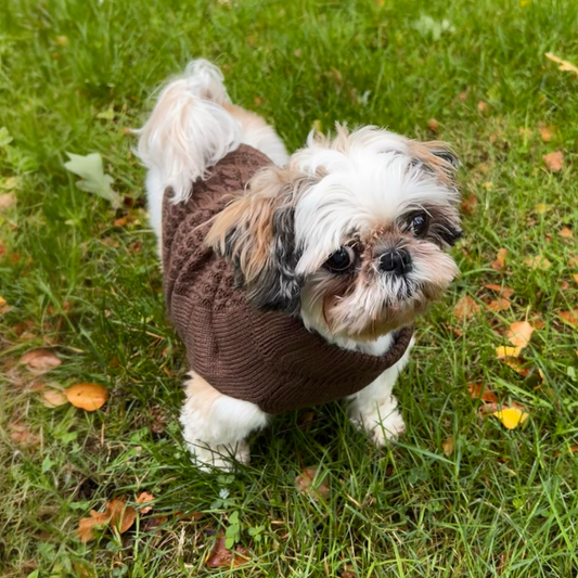 Knitted Brown Sweater
