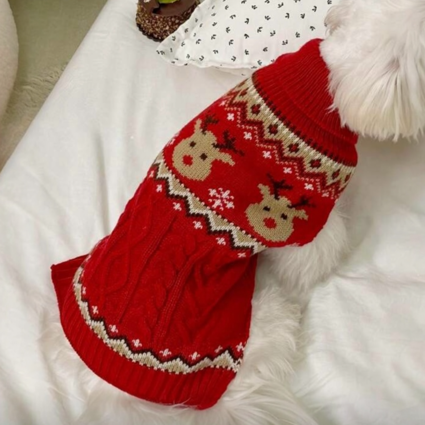 Reindeer Red Sweater