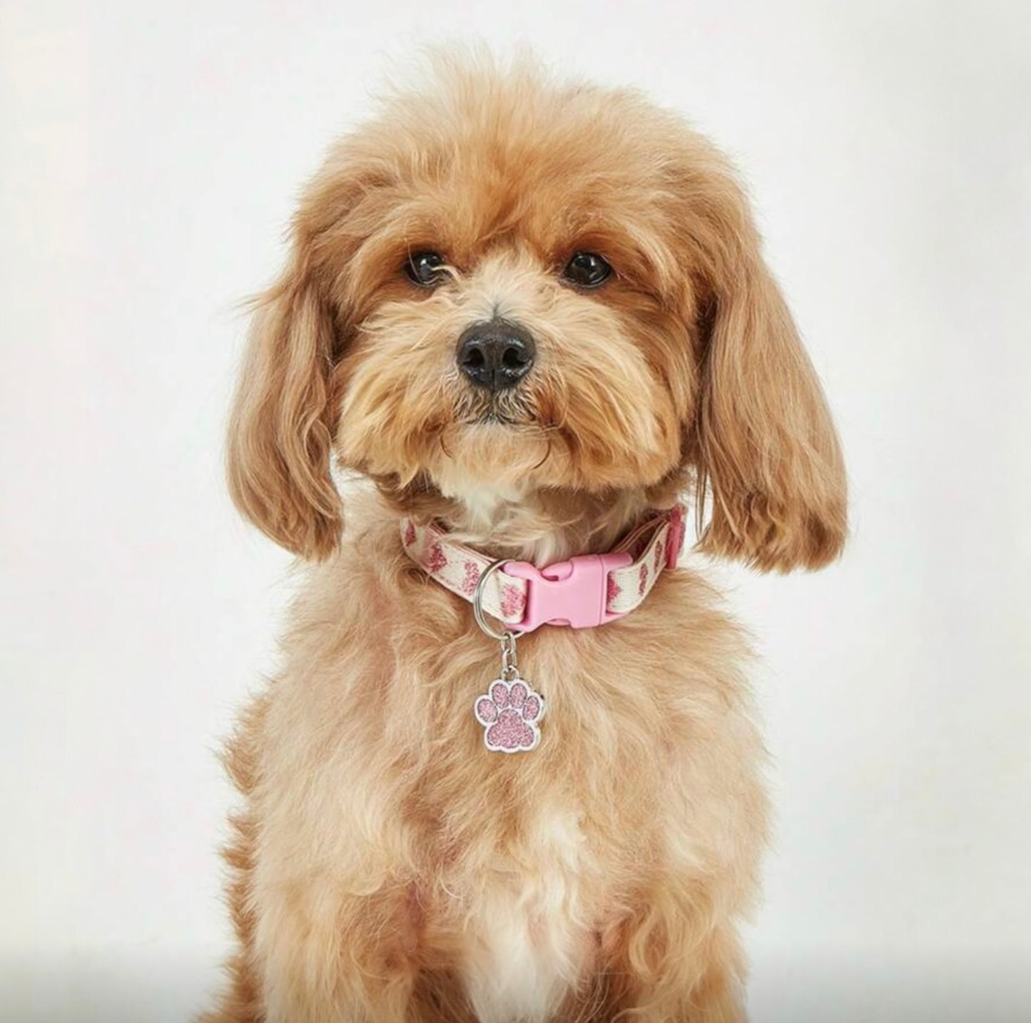 Pink Collar with Paw Charm