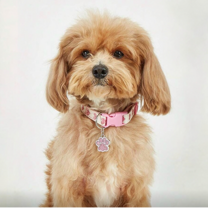 Pink Collar with Paw Charm