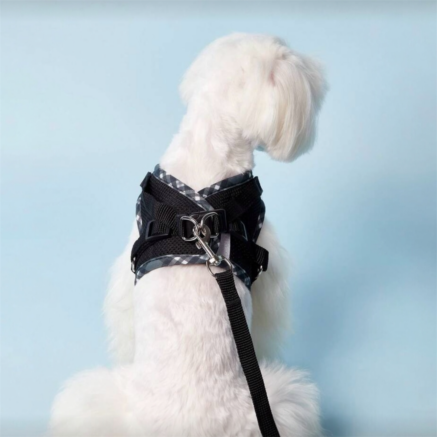 Breathable Black Dog Harness