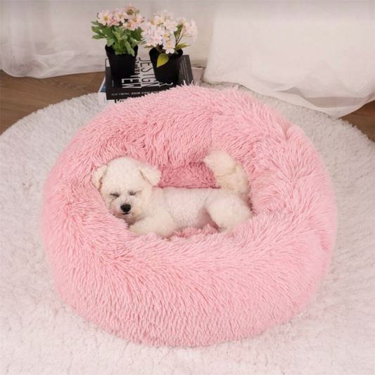 Dog pouf