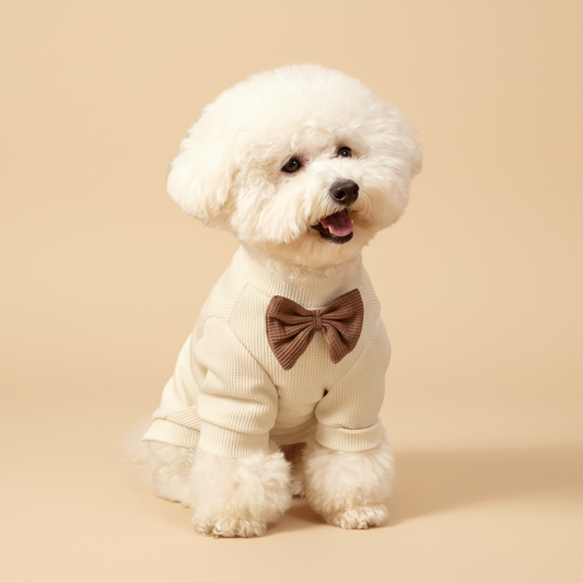 White Shirt with Brown Bow