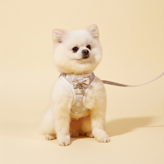 Anchored Dog Harness